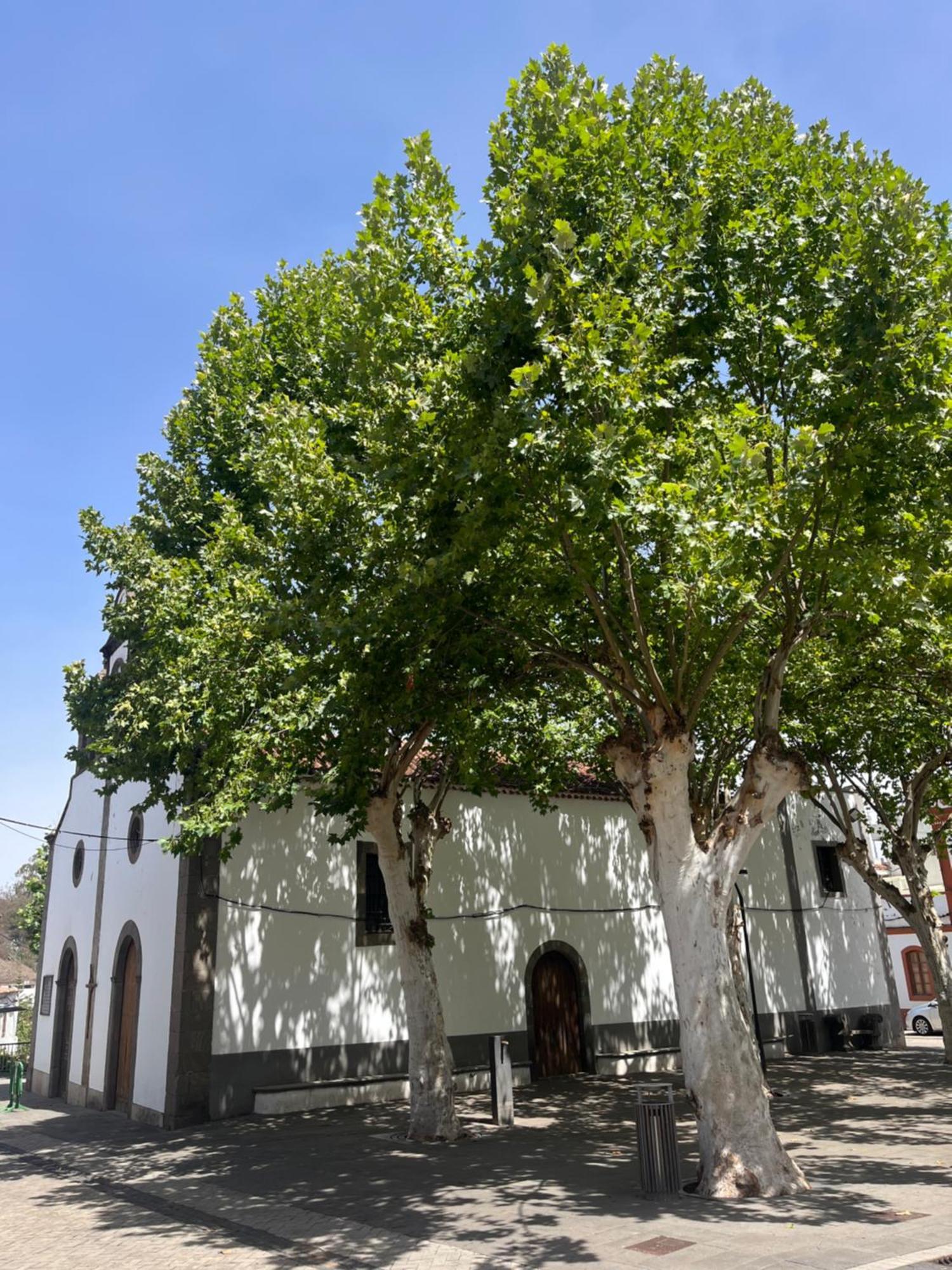 Apartamento Duplex En Fontanales Agua de Fontanales Bagian luar foto